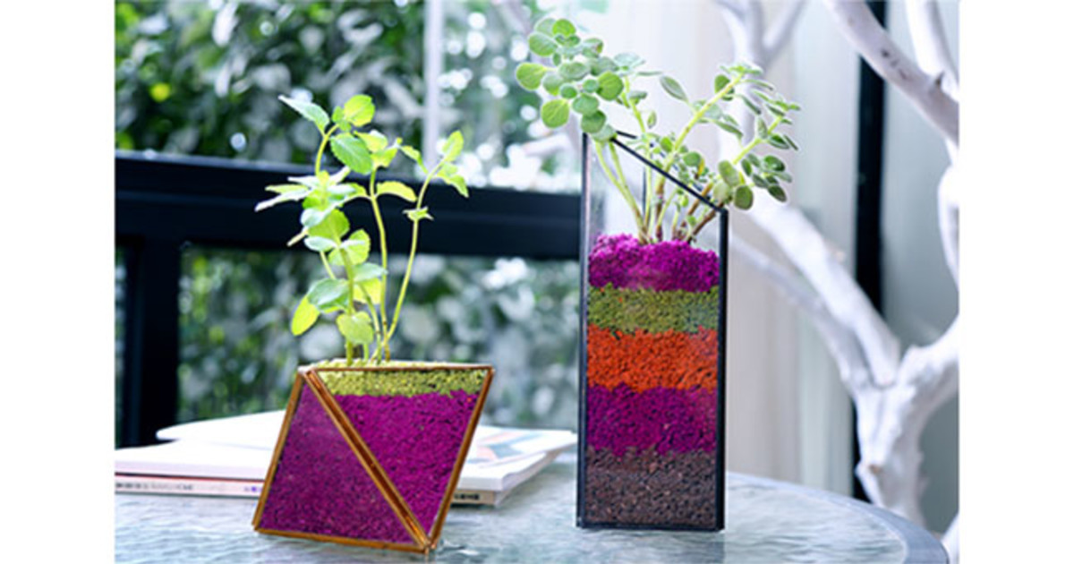 Short paragraph on growth of plant for class 3 image