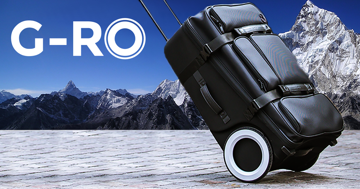 go ro luggage