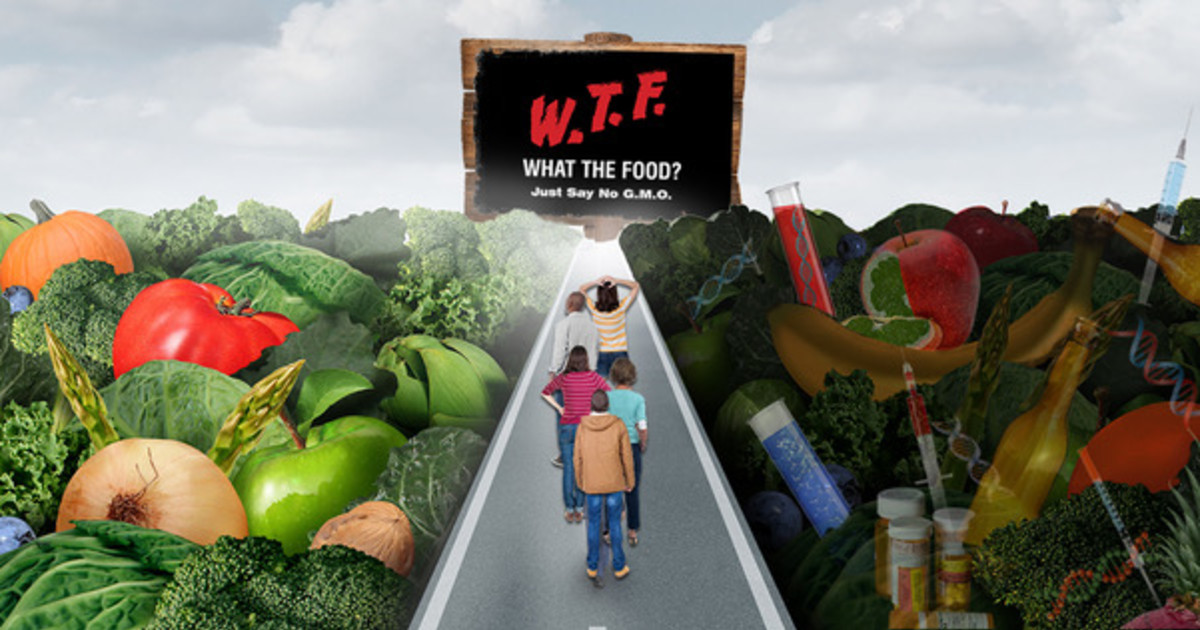 WTF What the Food? Documentary Indiegogo