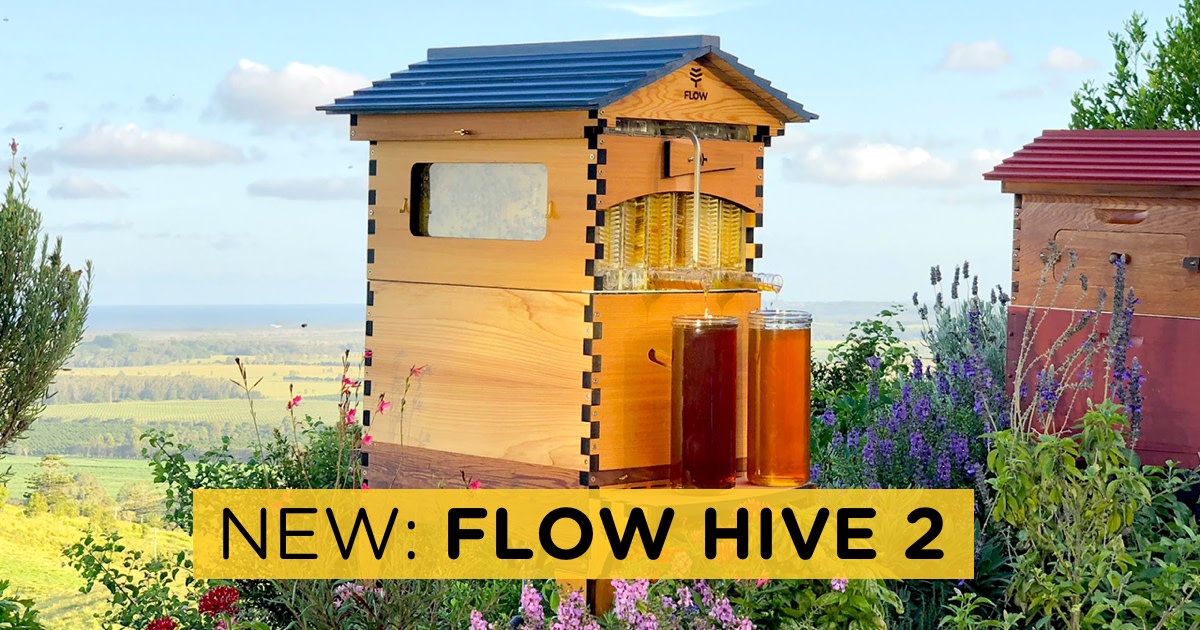 Flow Hive 2 Indiegogo
