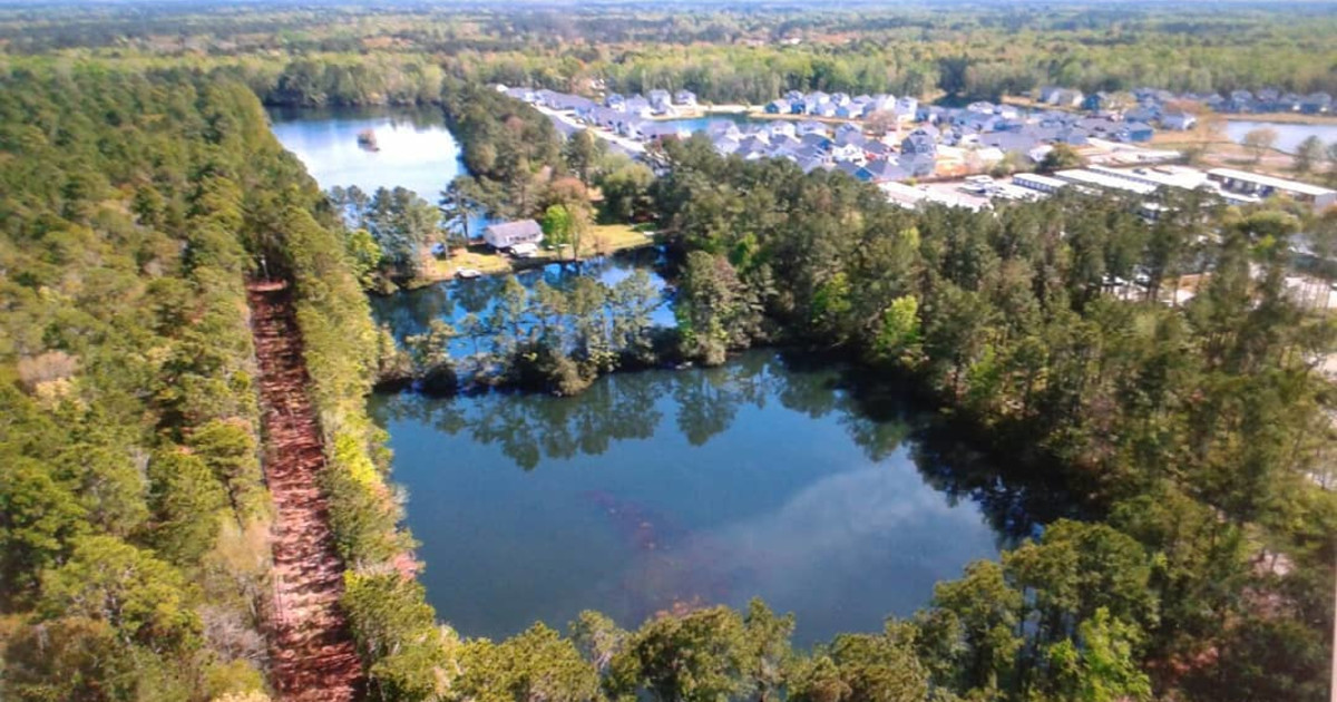 Johns Island Community Ponds by Local Pulse Indiegogo