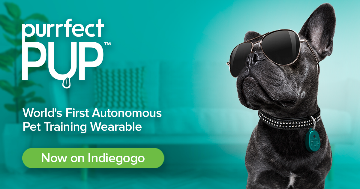 Purrfect PUP World's First Autonomous Pet Trainer Indiegogo
