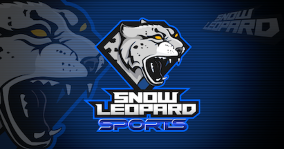 SNOW LEOPARD SPORTS HEATED BATTING GLOVES Indiegogo