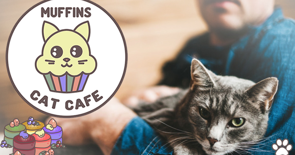 A home for LISBON's pets at MUFFINS CAT CAFE Indiegogo