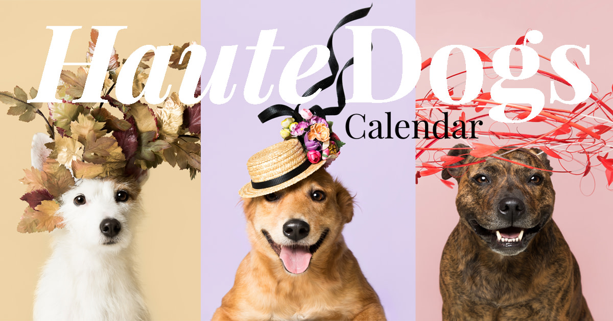 Haute Dogs Calendar 2019 Indiegogo