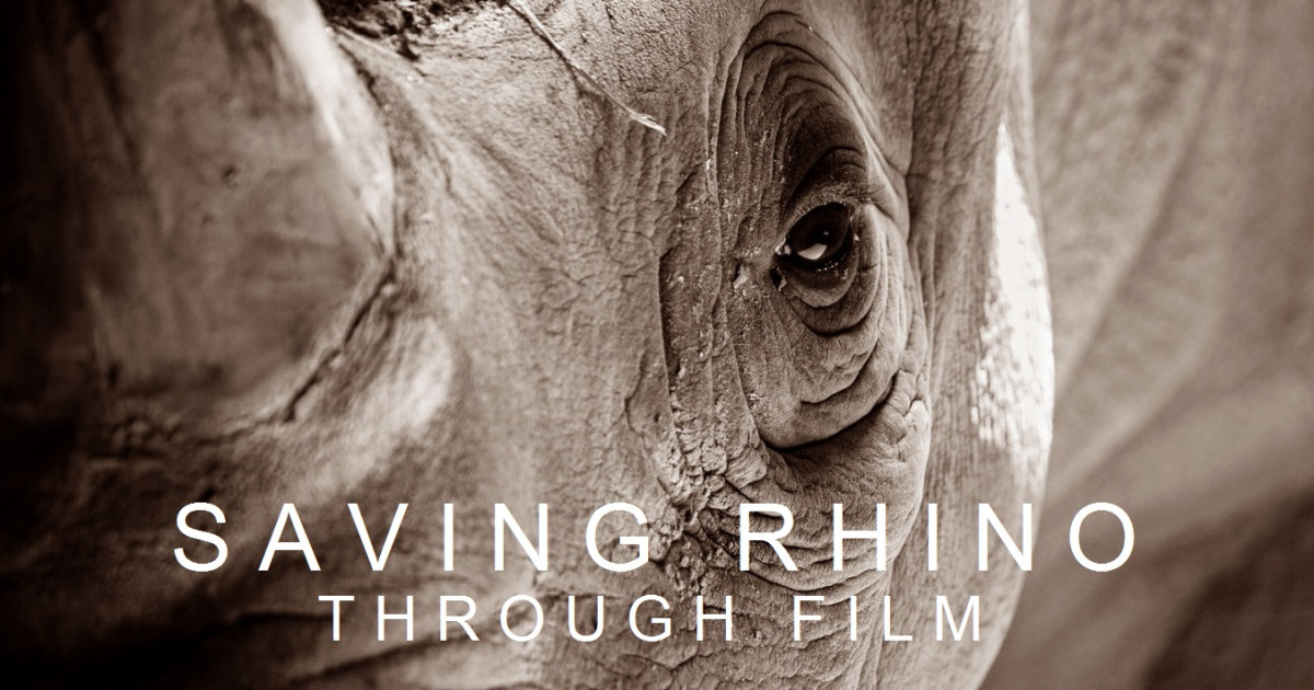 Saving Rhino Through Film | Indiegogo