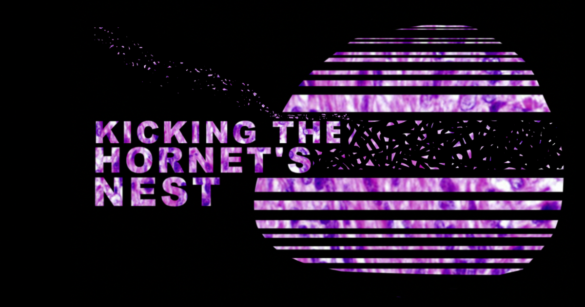 Kicking The Nest Indiegogo