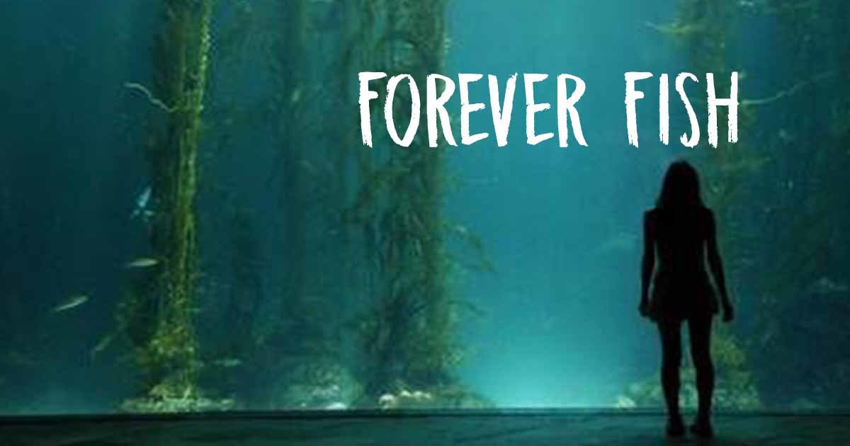 Forever Fish A Short Film Indiegogo