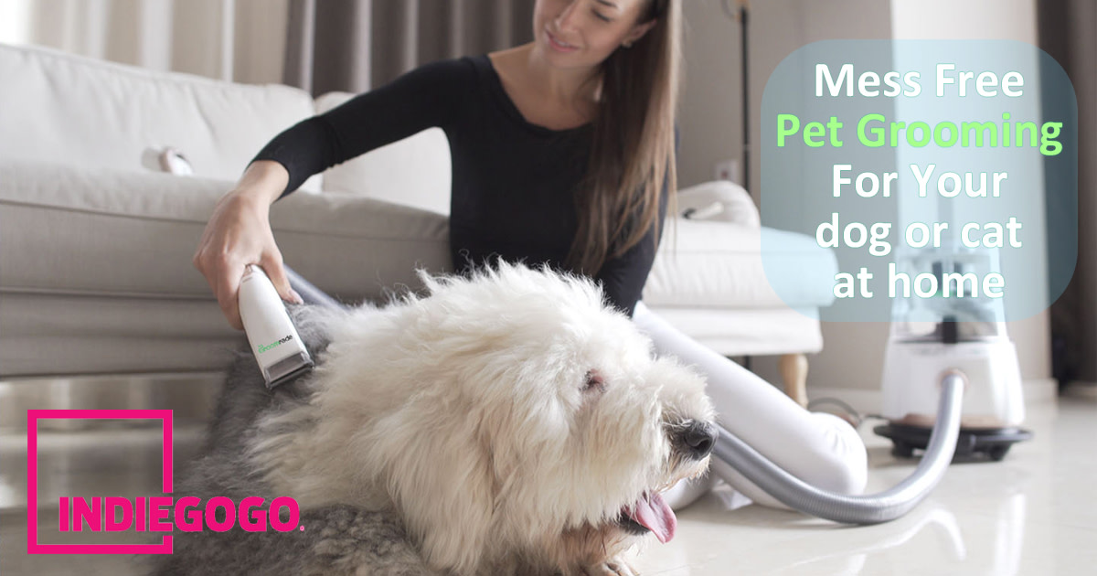 Groomrade: Smart & Mess-Free Vacuum Dog Groomer | Indiegogo