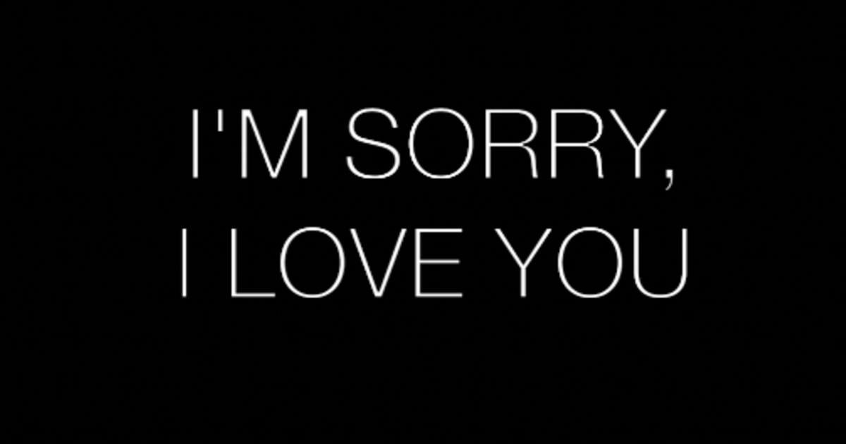 I m Sorry I Love You Indiegogo