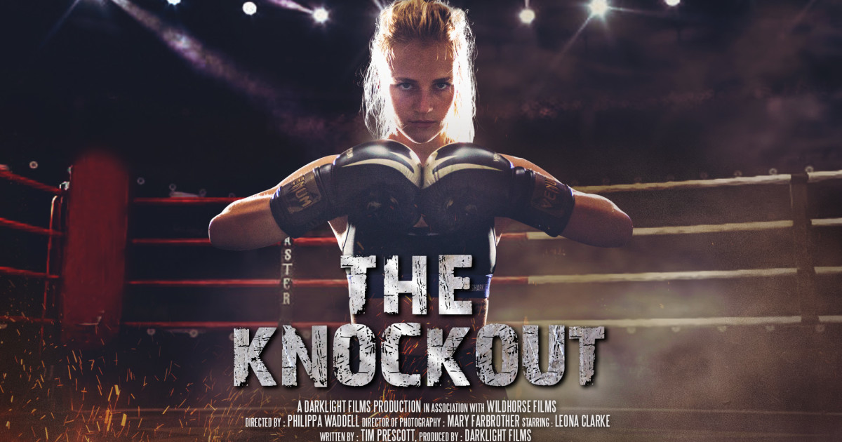 The Knockout Proof of Concept Indiegogo