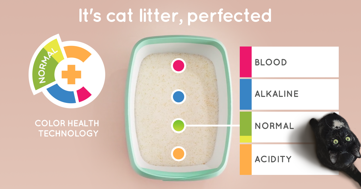 The Perfect Health Monitoring Cat Litter by Luuup Indiegogo