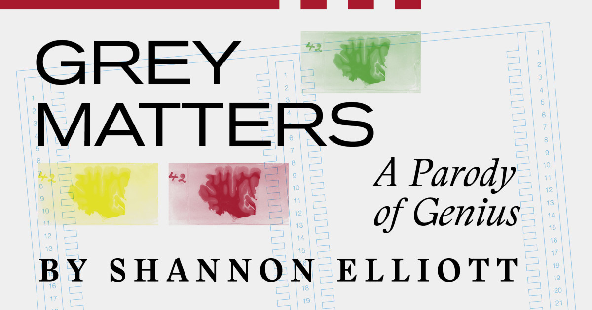 Grey Matters Indiegogo