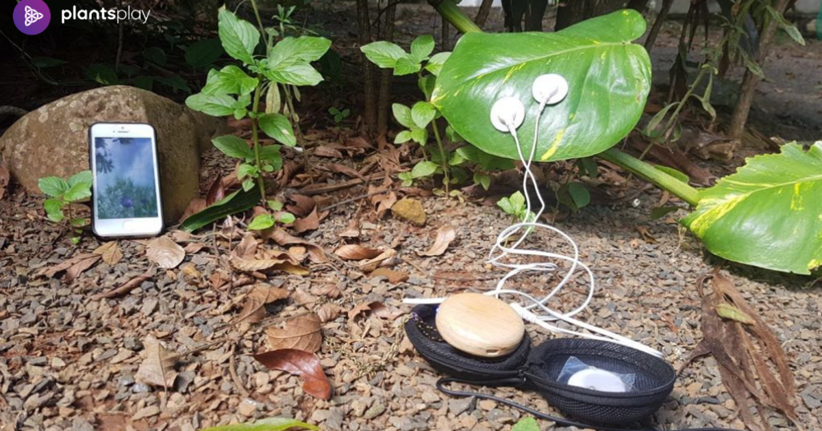 PLANTS PLAY Music by Plants and Trees Part TWO Indiegogo