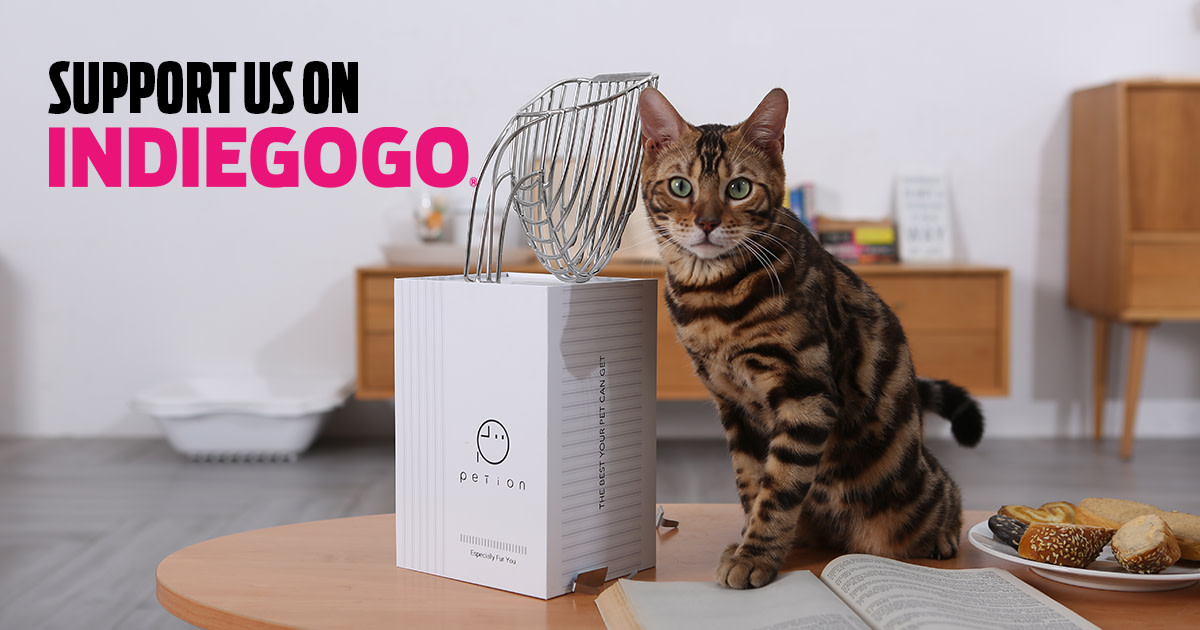 IronScoop The Fastest Cat Litter Scoop Ever Indiegogo