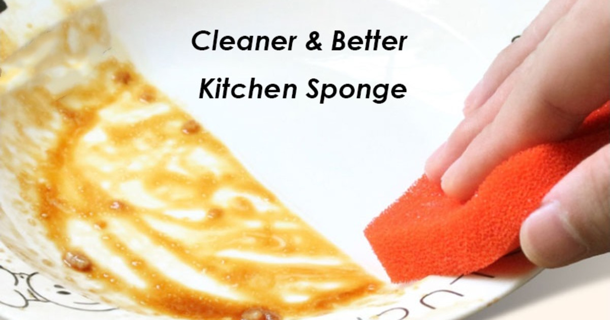 Cleanest Kitchen Sponge For Easiest Wash Indiegogo   Ykaowjrf8kdj8ilaxqe1 