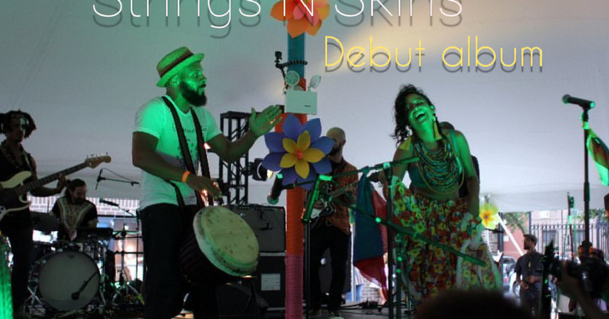 Strings N Skins Indiegogo