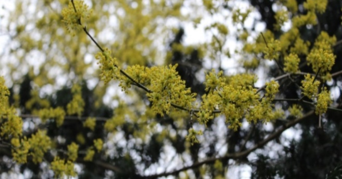 Je Ne Crois Que Ce Que Je Vois Citation