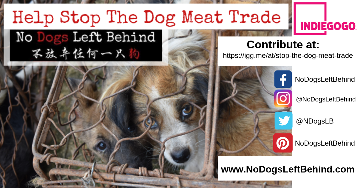 HELP Stop The Dog Meat Trade Indiegogo