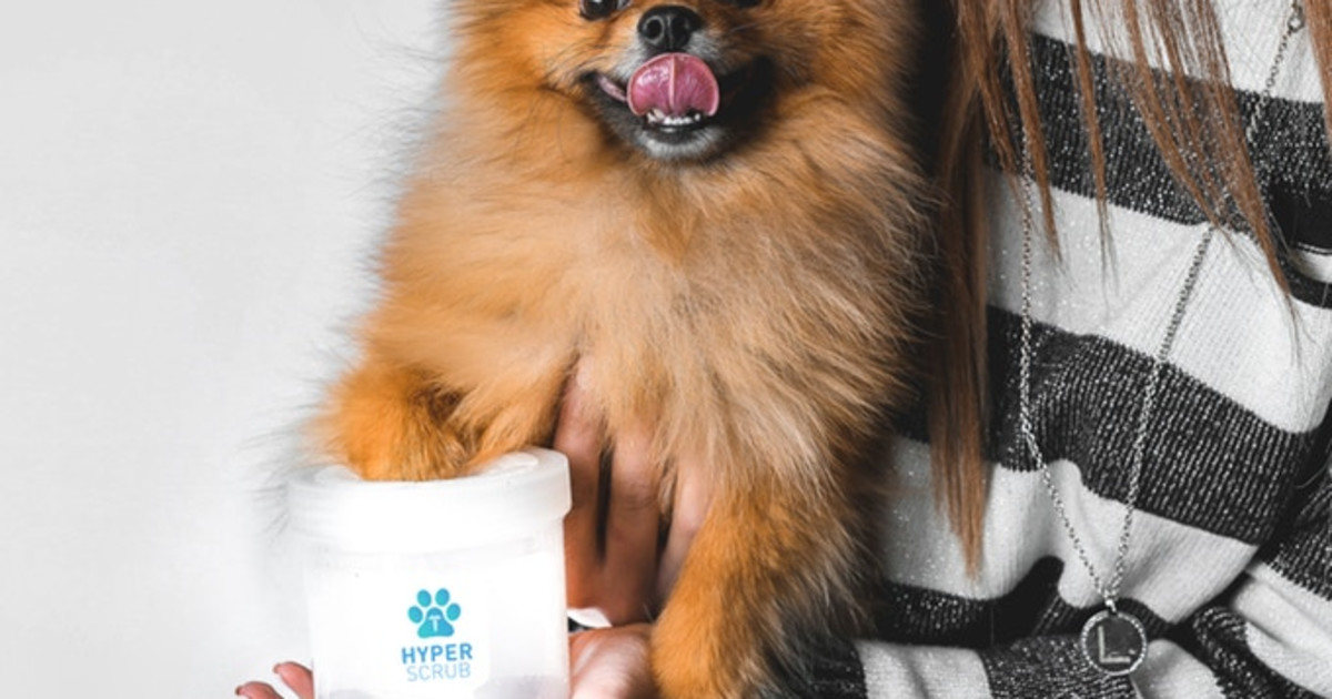 Hyperscrub The 1st MedicalGrade Dog Paw Scrubber Indiegogo