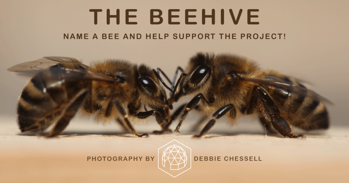 The Beehive | Indiegogo