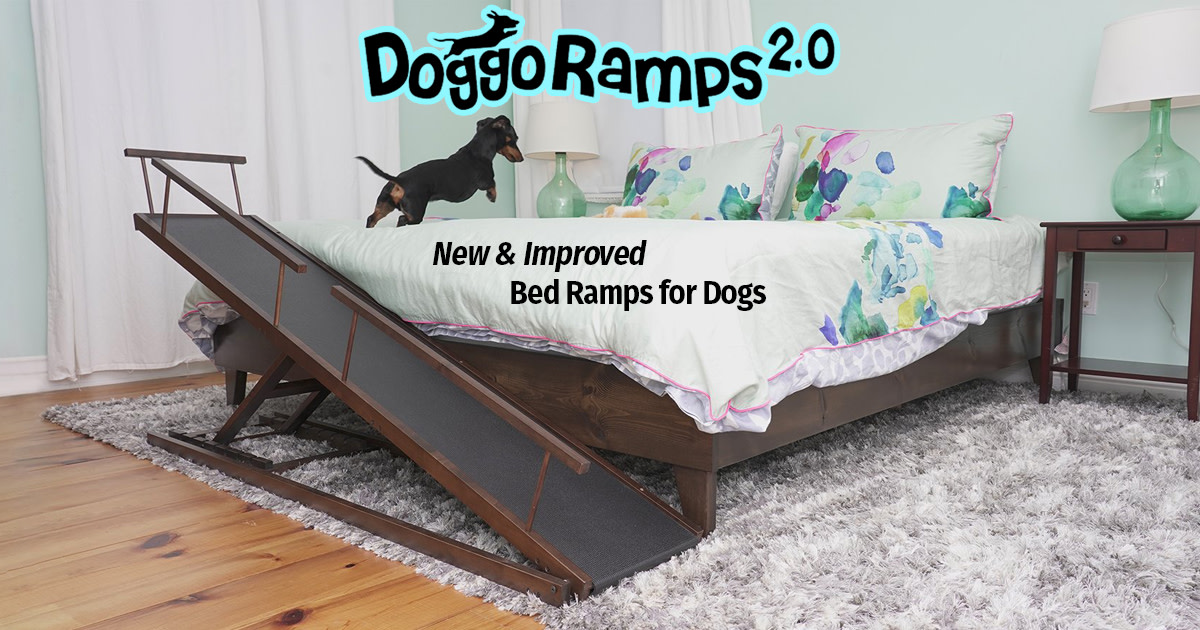 DoggoRamps 2.0 The Best Bed Ramps for Small Dogs Indiegogo