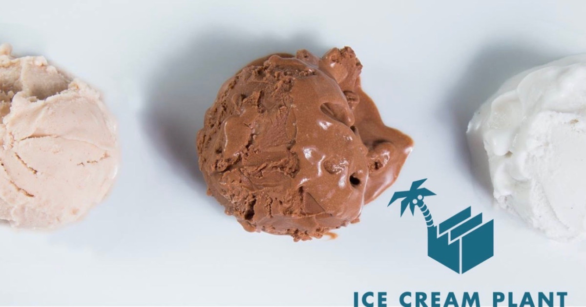 Creamy, AllergyFriendly Ice Cream Indiegogo