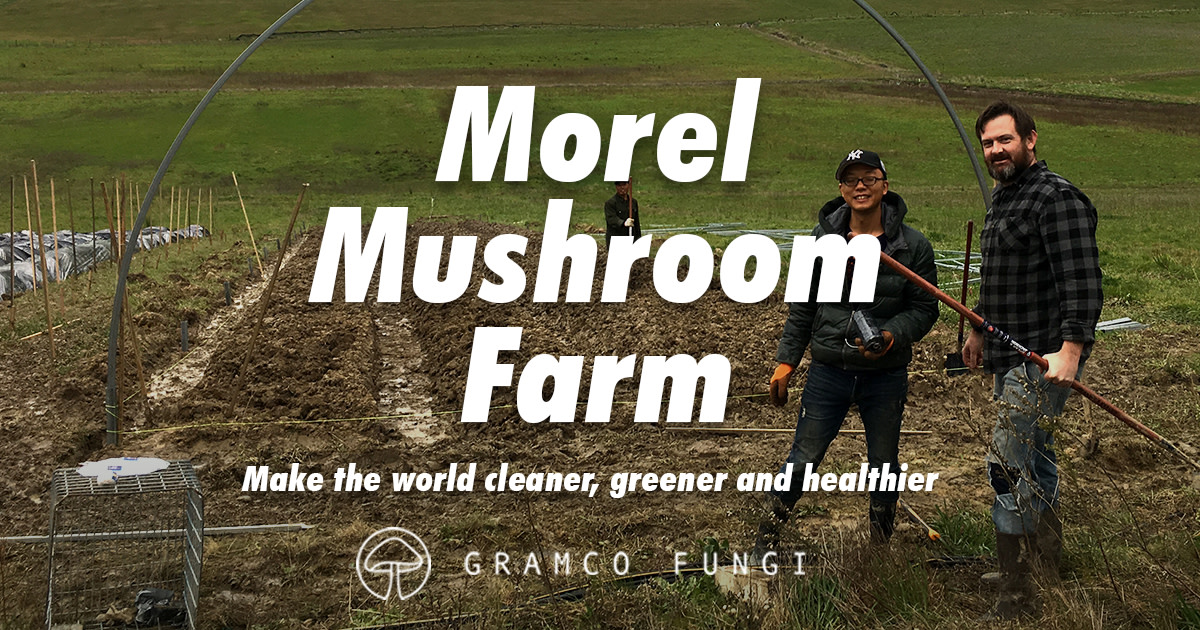 Morel Mushroom Farm Indiegogo