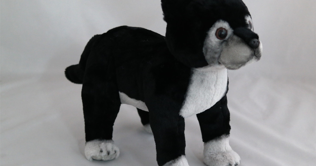 Walter plush toys to benefit dog rescue Indiegogo