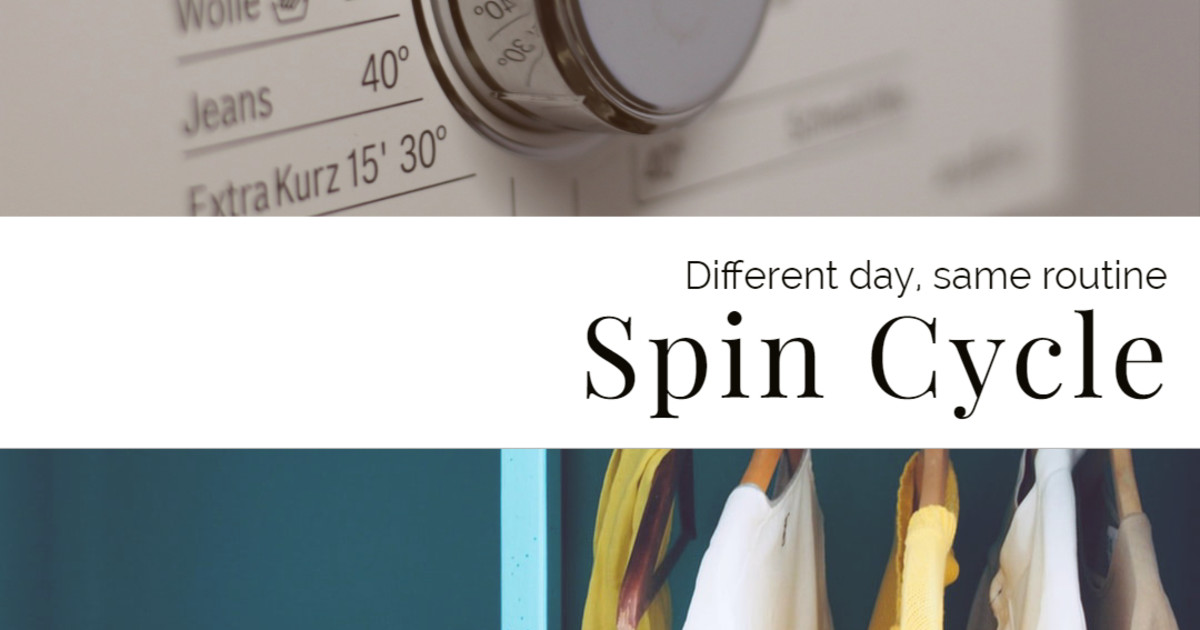 spin cycle computer