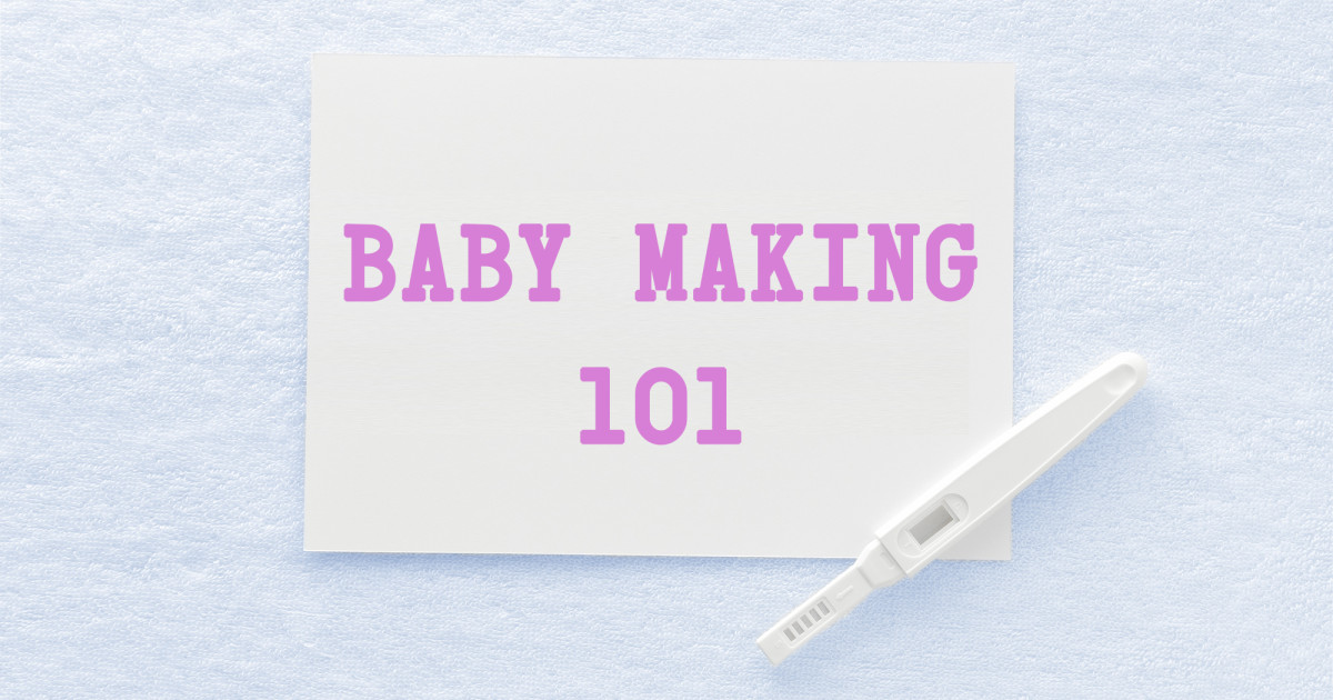 Baby Making 101 Indiegogo