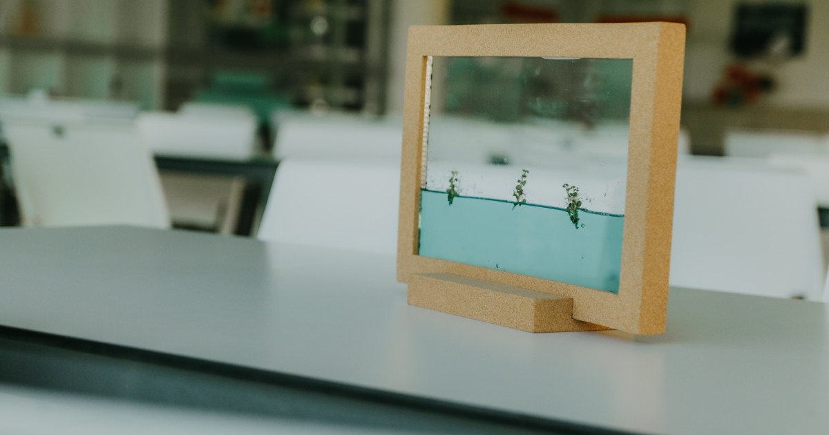 Live Frames The sustainable way Indiegogo