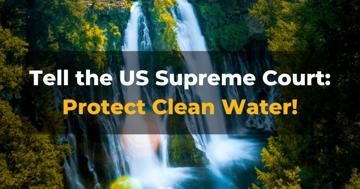 Protect Your Clean Water Indiegogo 5403