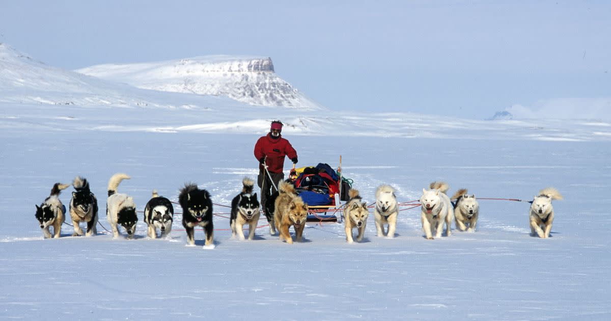 Greenland 2021 Pulling For The Indiegogo