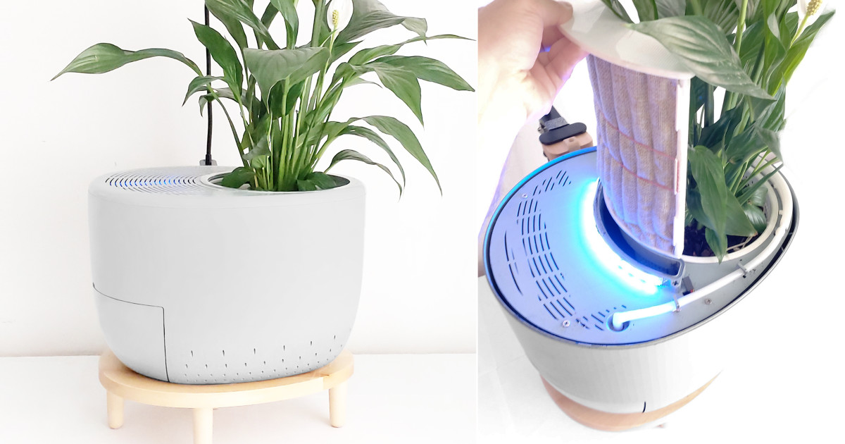 Urbie: Smart air purifier & self-watering planter | Indiegogo