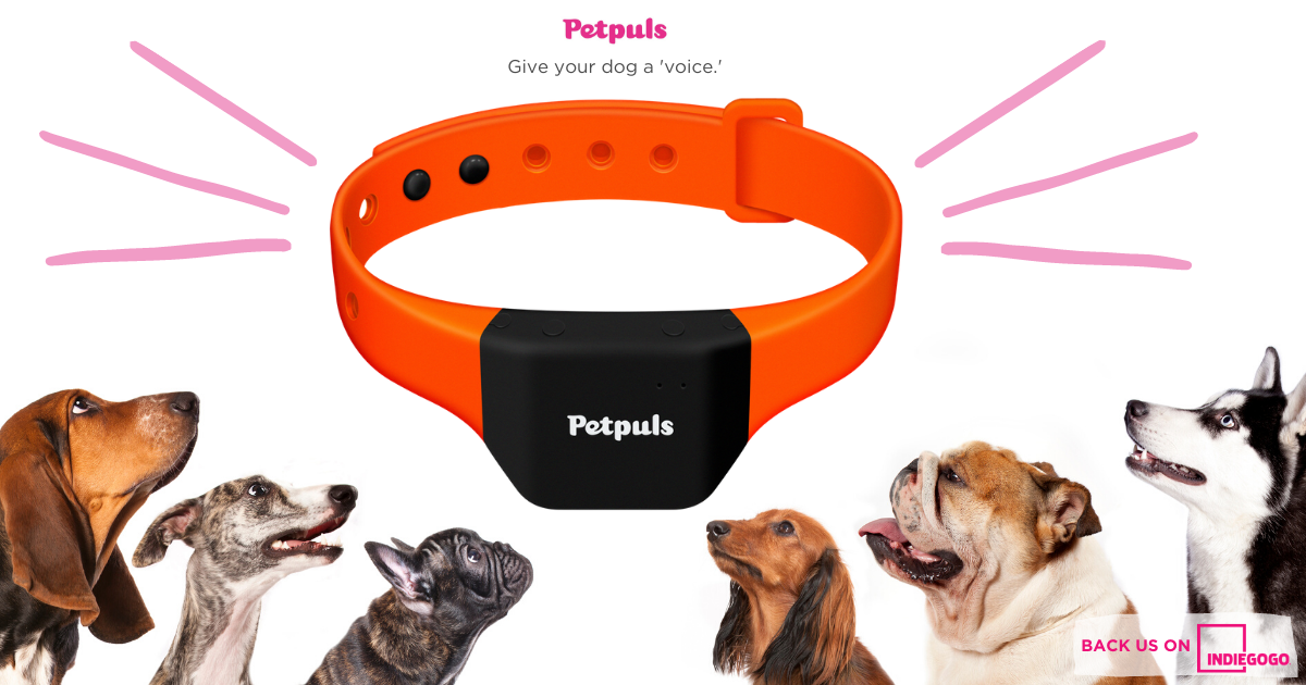 Petpuls Smart Collar Give Your Dog A ‘Voice’ Indiegogo