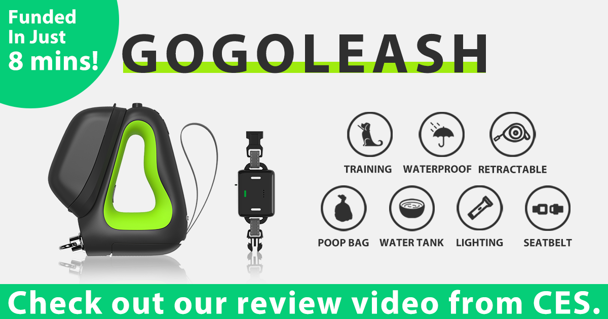 GoGoLeash AllinOne Dog Leash and Collar System Indiegogo