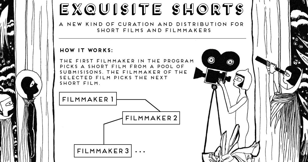 Exquisite Shorts | Indiegogo