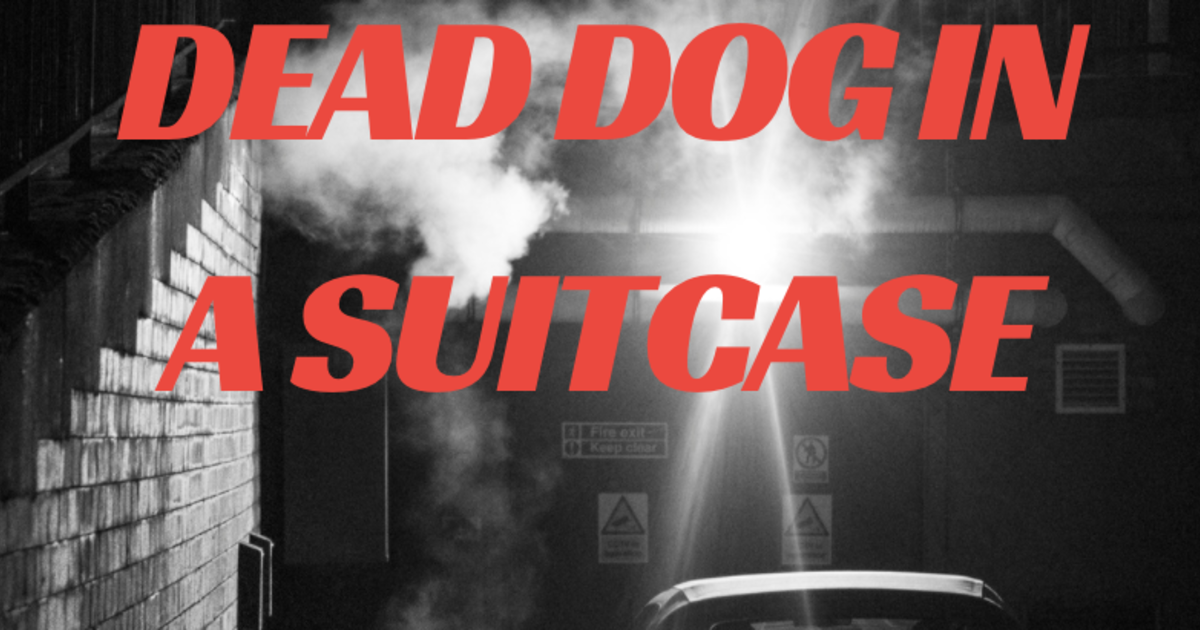 Dead Dog in a Suitcase Indiegogo