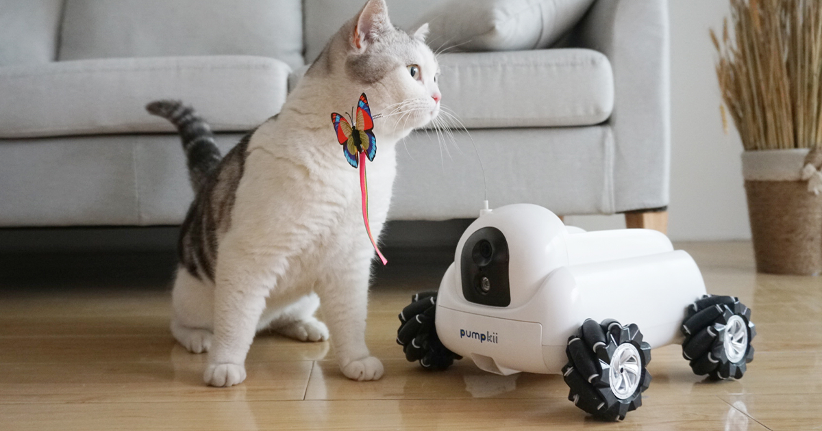 Pumpkii World's First Modular Robot For Pets Indiegogo