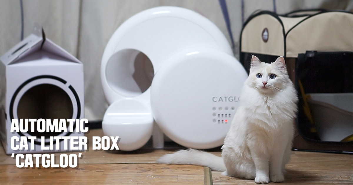 EXQUISITE AUTOMATIC CAT LITTER BOX - CATGLOO | Indiegogo