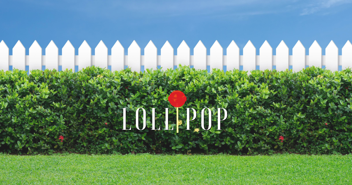 Lollipop Short Film Indiegogo