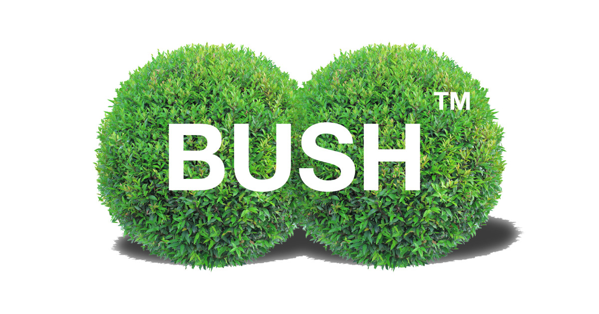 best bush trimmer 2021