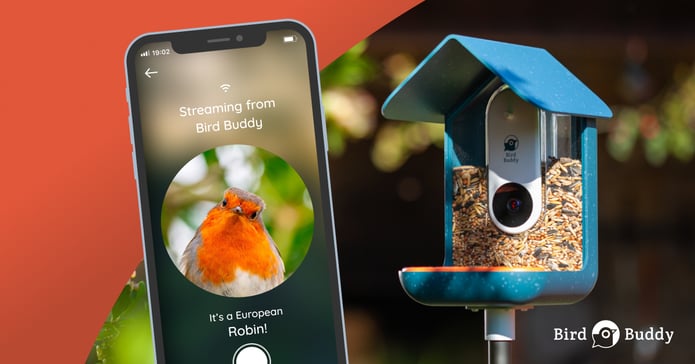 Bird Buddy: A Smart Bird Feeder | Indiegogo