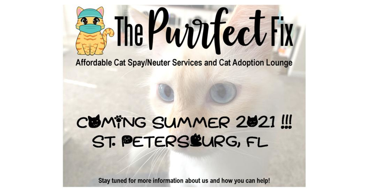 The purrfect fix st petersburg fl indiegogo