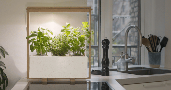 View of NordicGrow - Indoor Garden in Scandinavian Design. | Indiegogo