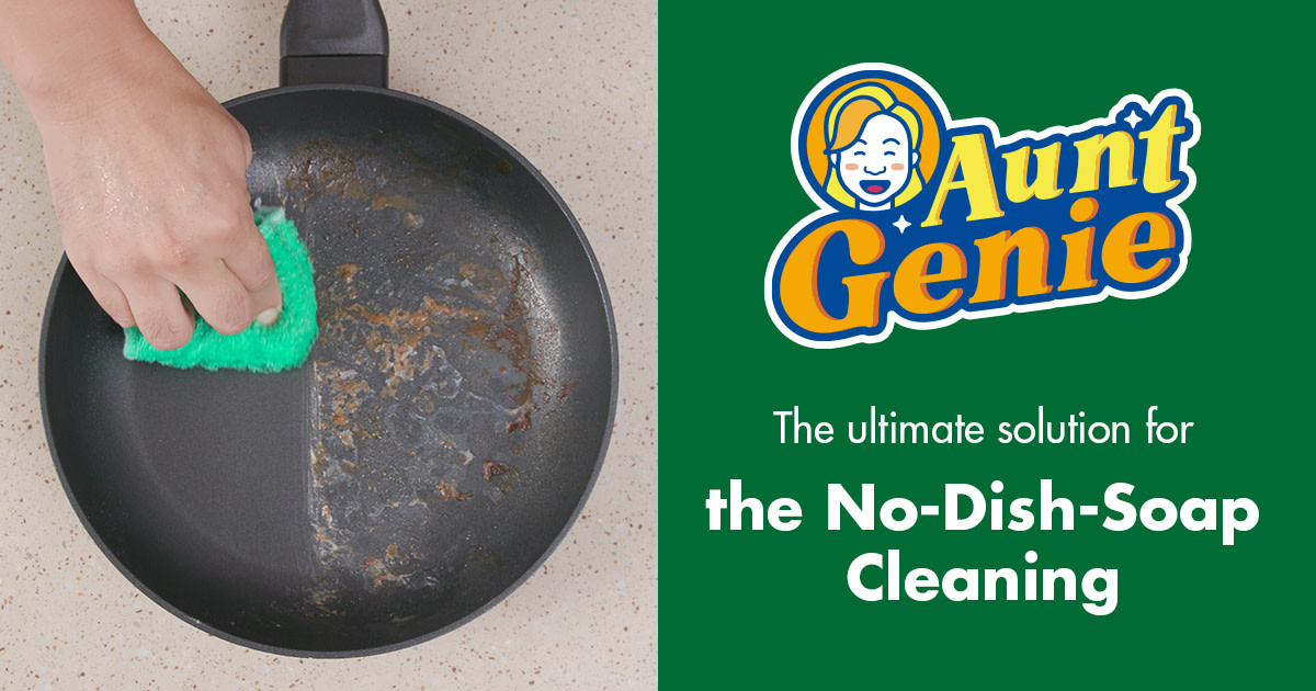 NoDishSoap Dishwashing with Aunt Genie Indiegogo