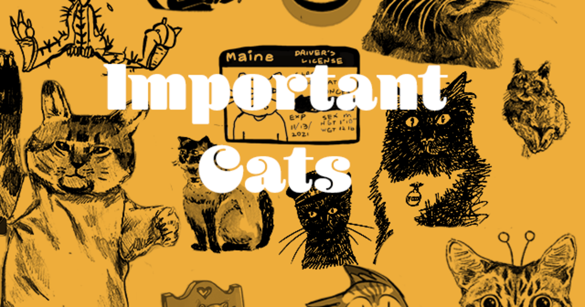 Important Cats Calendar Indiegogo