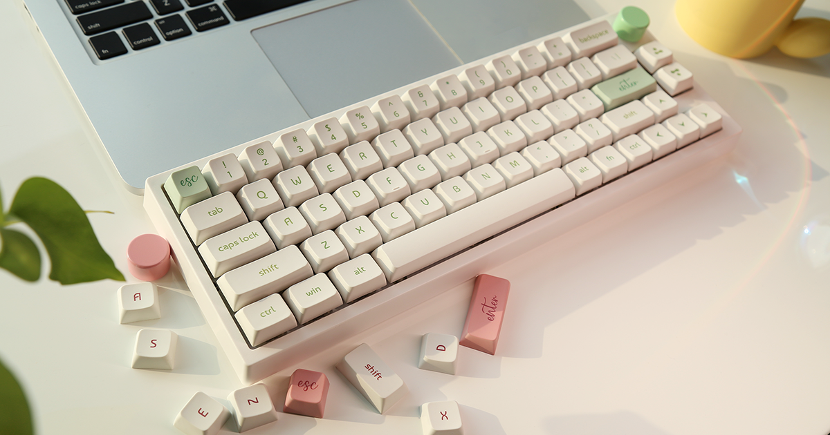 EC66: Wireless Gasket Mount Mechanical Keyboard | Indiegogo