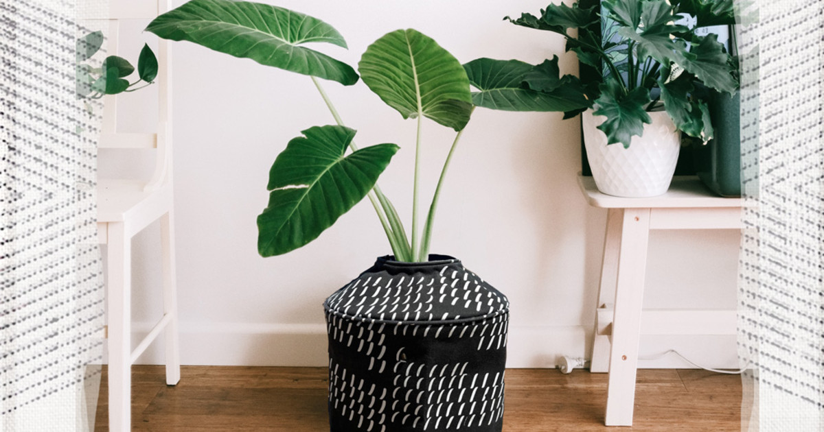 POT JUMPERS The World's First Zip Up Plant Pot Indiegogo